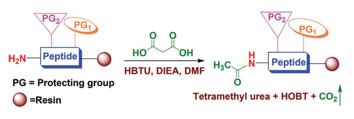 Fig. 2 Peptide N-acetylation.
