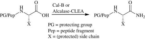 Fig. 1 C-terminal amidation of peptides. 