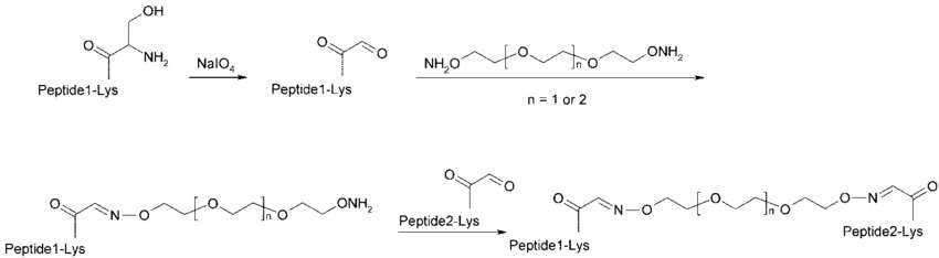 Fig. 1 Synthesis of peptide dimers.