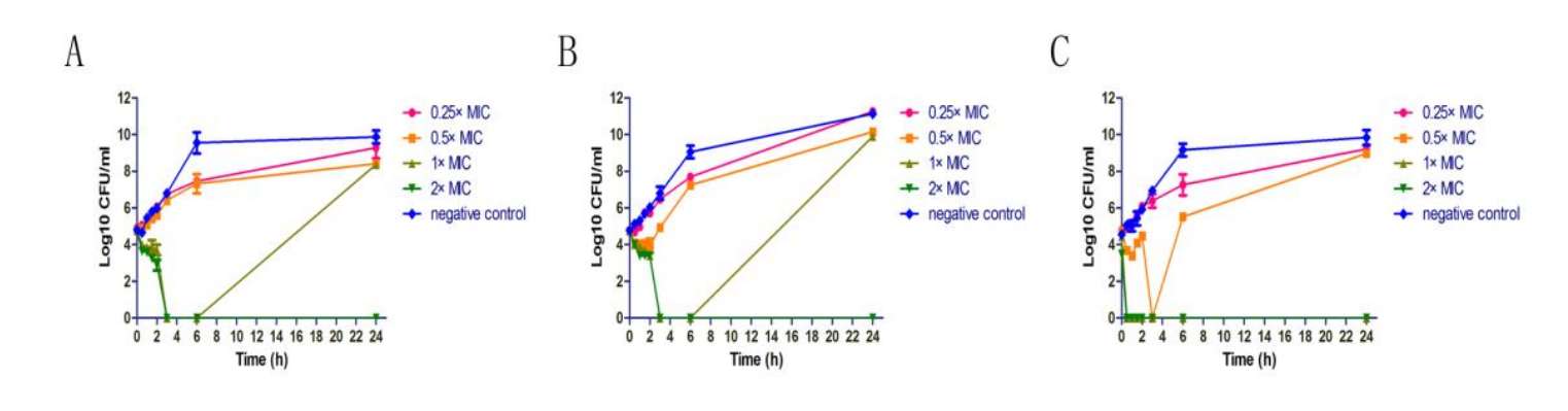 Fig. 2 Antibacterial activity of dimer peptide.