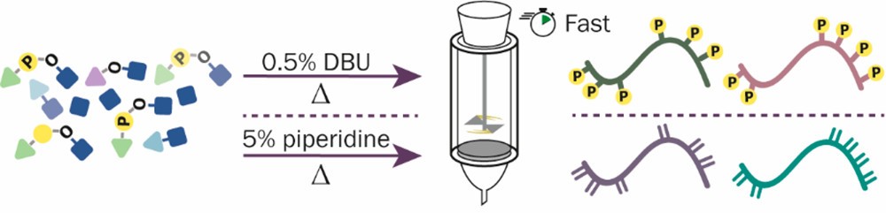 Fig. 2 Multiphosphorylated peptide synthesis.