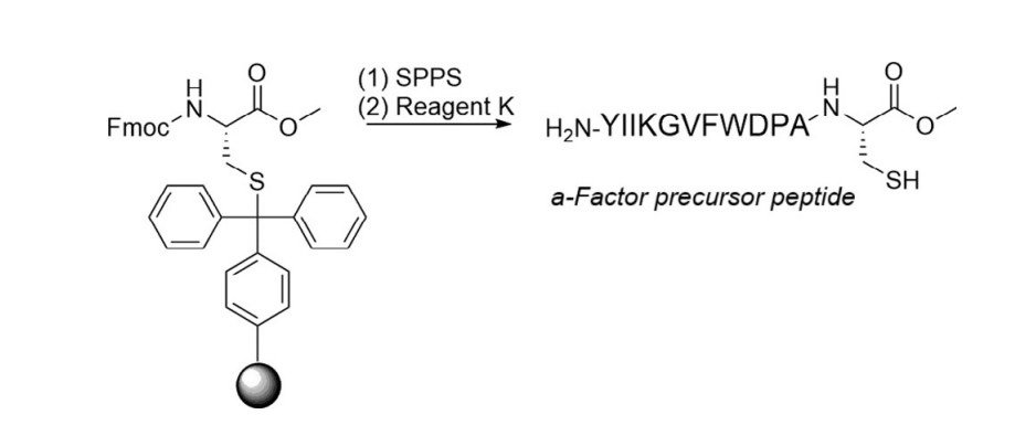 Fig. 2 Synthesis of a-factor precursor peptide.