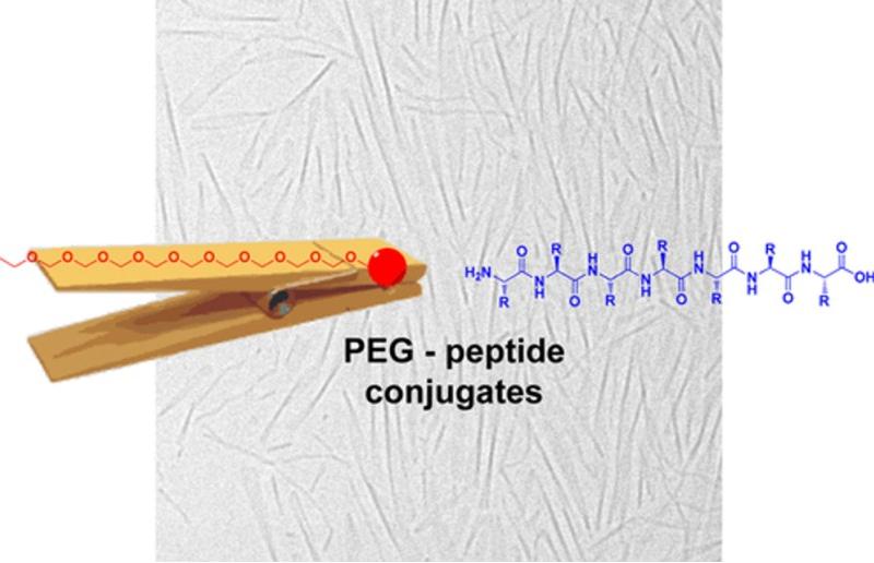 Fig. 1 PEG–peptide conjugates.