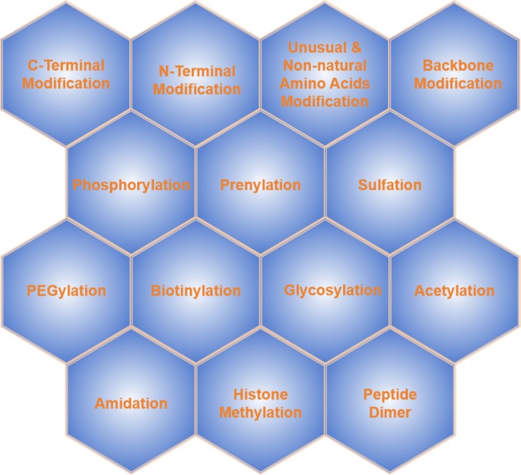 Fig. 1 Peptide modification.