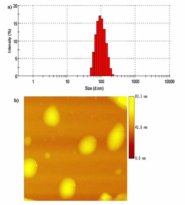 Fig. 3 BBN conjugated nanoparticles (BDNP).