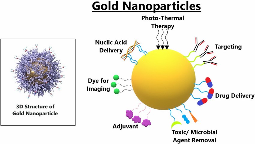 Fig. 1 Structure of gold nanoparticles.