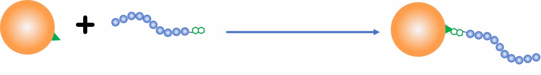 Fig. 4 Biotin-streptavidin method.