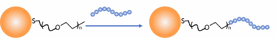 Fig. 5 NHS-activated gold nanoparticles.