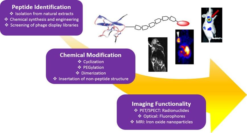 Fig. 1 Peptide-based imaging agents.