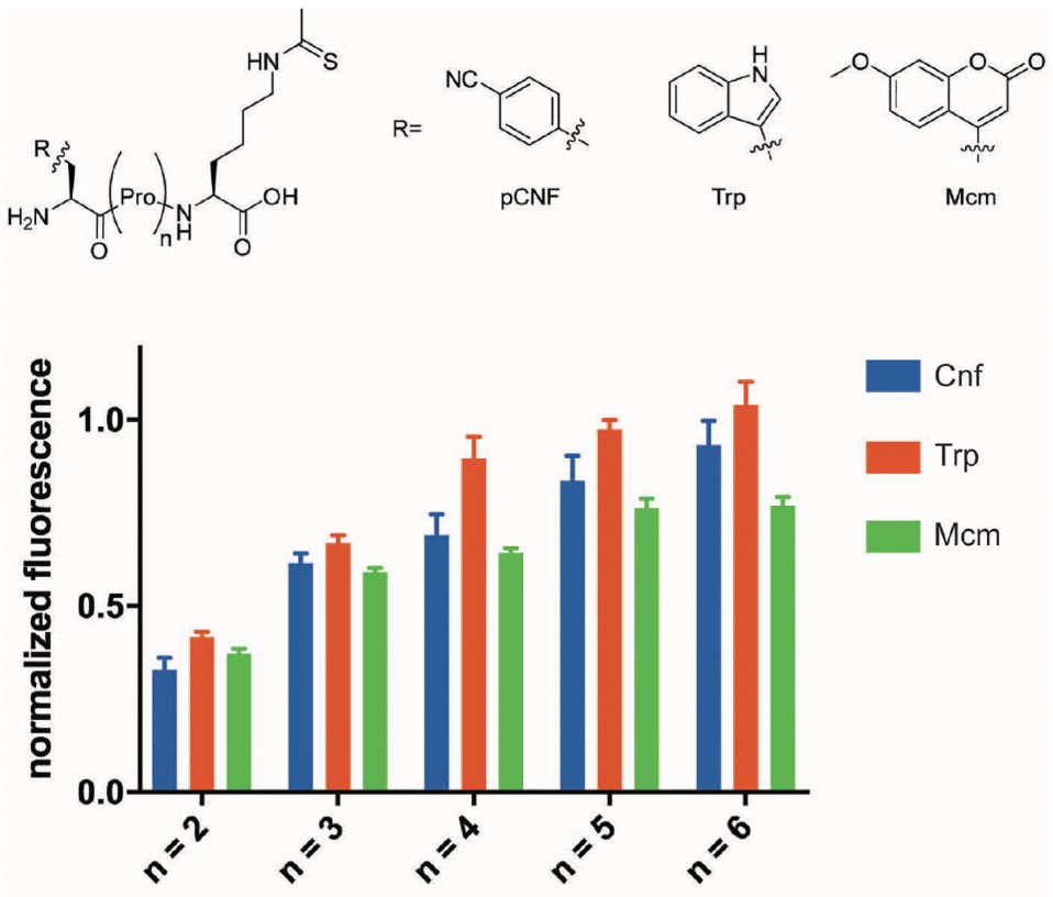 Fig. 2 Fluorescence quenching by Nε-thioacetyllysine side-chain thioamide.
