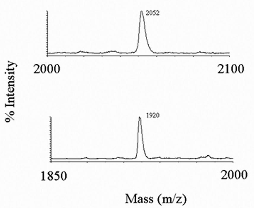 Fig. 3 MALDI-TOF mass spectra of peptides.
