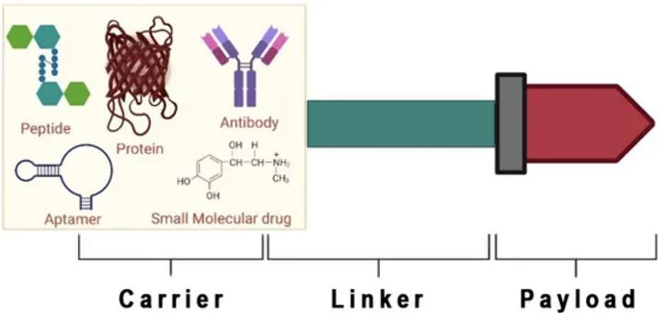Fig. 1 Peptide-drug conjugates