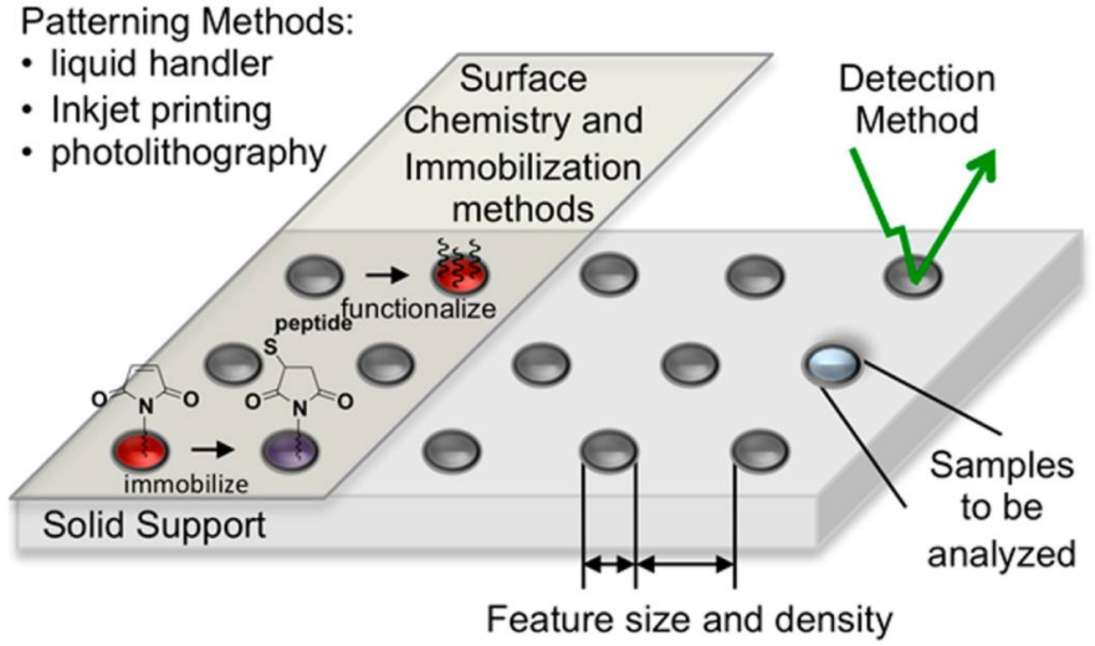 Fig. 1 Peptide arrays.