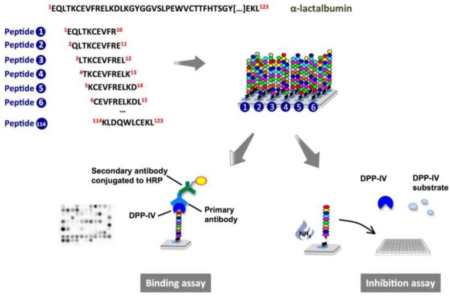 Fig. 3 Peptide array synthesis.