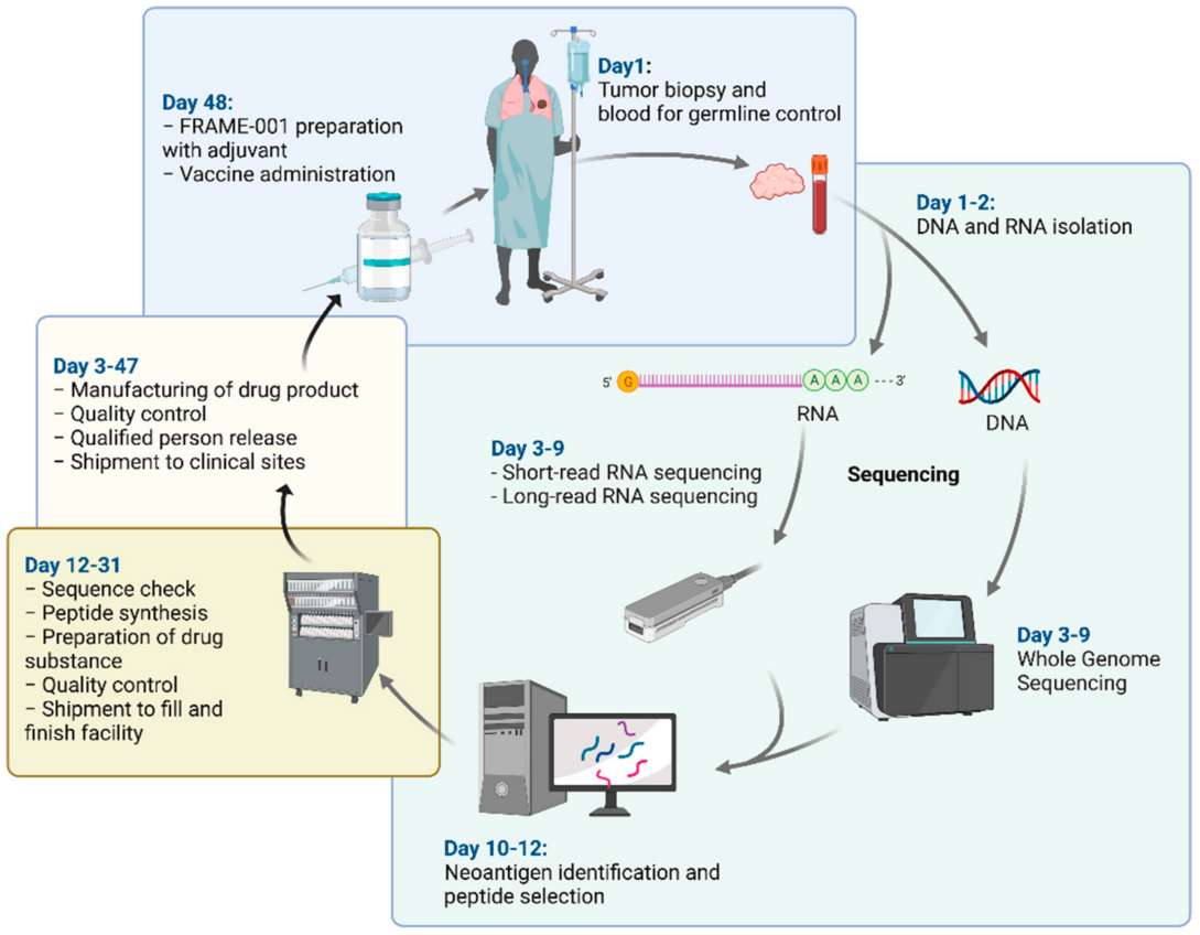 Fig. 2 Neoantigen vaccine formulation (FRAME-001).
