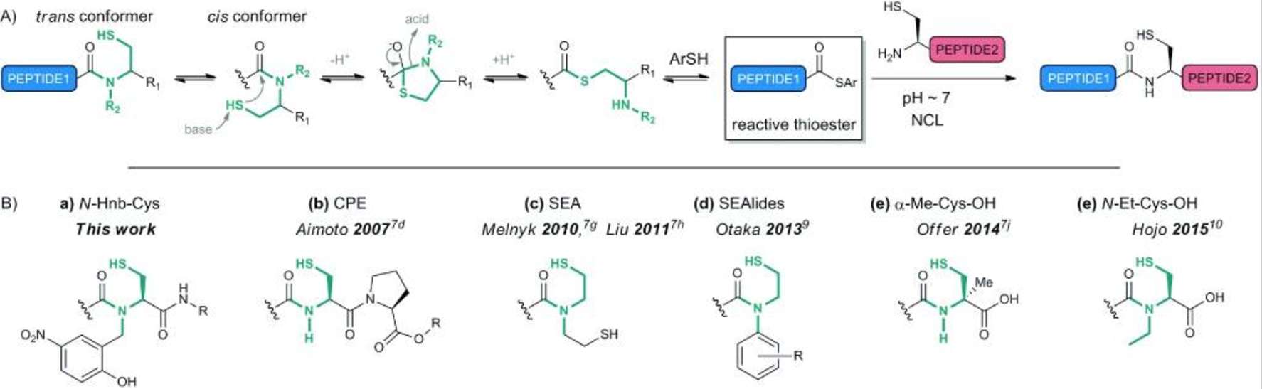 Fig. 2 In situ synthesis of peptide thioesters.