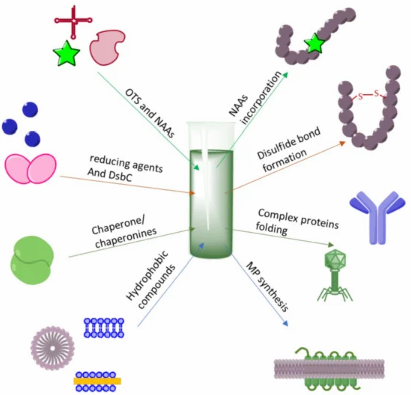 Fig. 2 CF methodology for the production of diverse proteins.