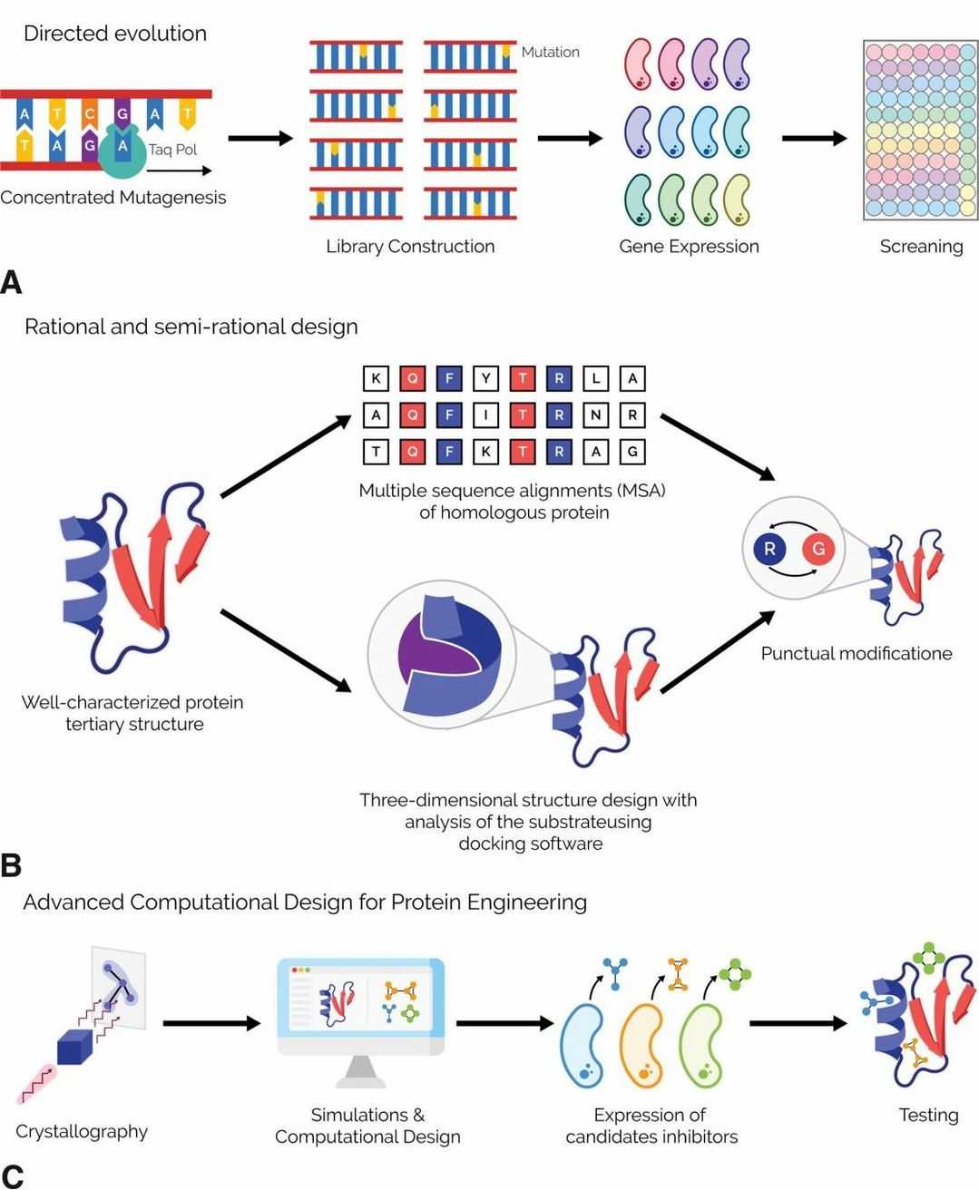 Fig. 1 Protein engineering.