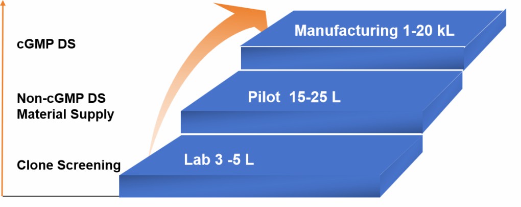 Fig. 3 Cell culture capabilities.