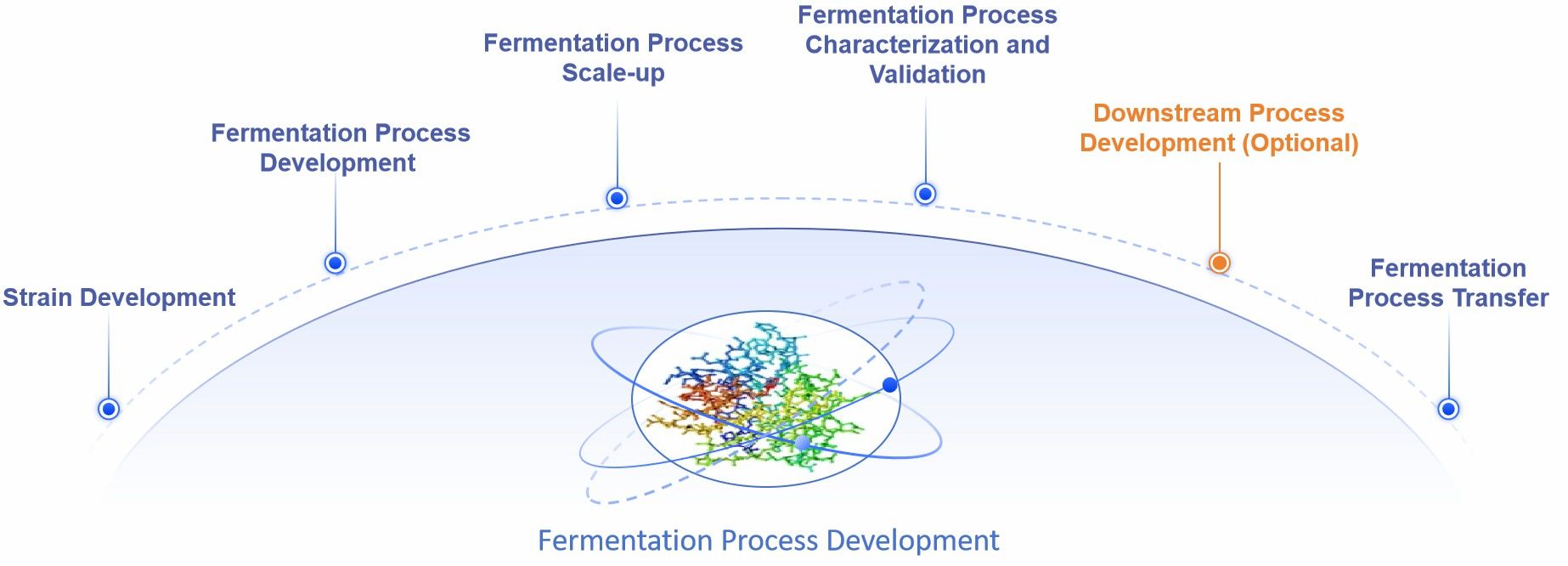 Fig. 1 Fermentation process development.