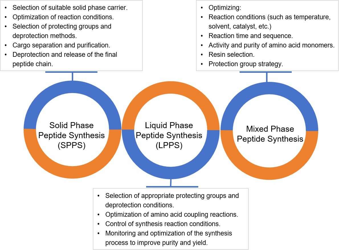 Fig. 2 Types of process development synthesis peptide.