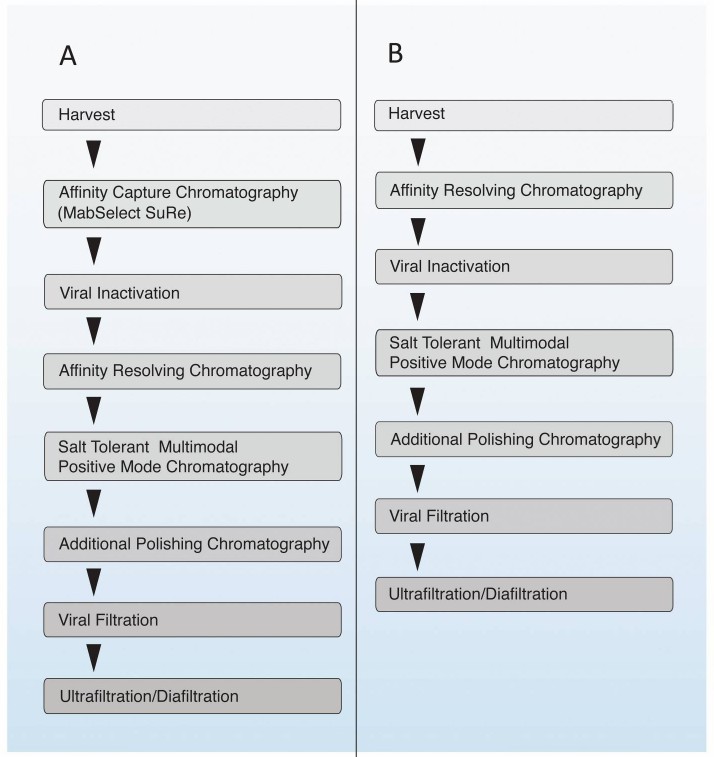 Fig. 3 Purification processes for bispecific antibodies.