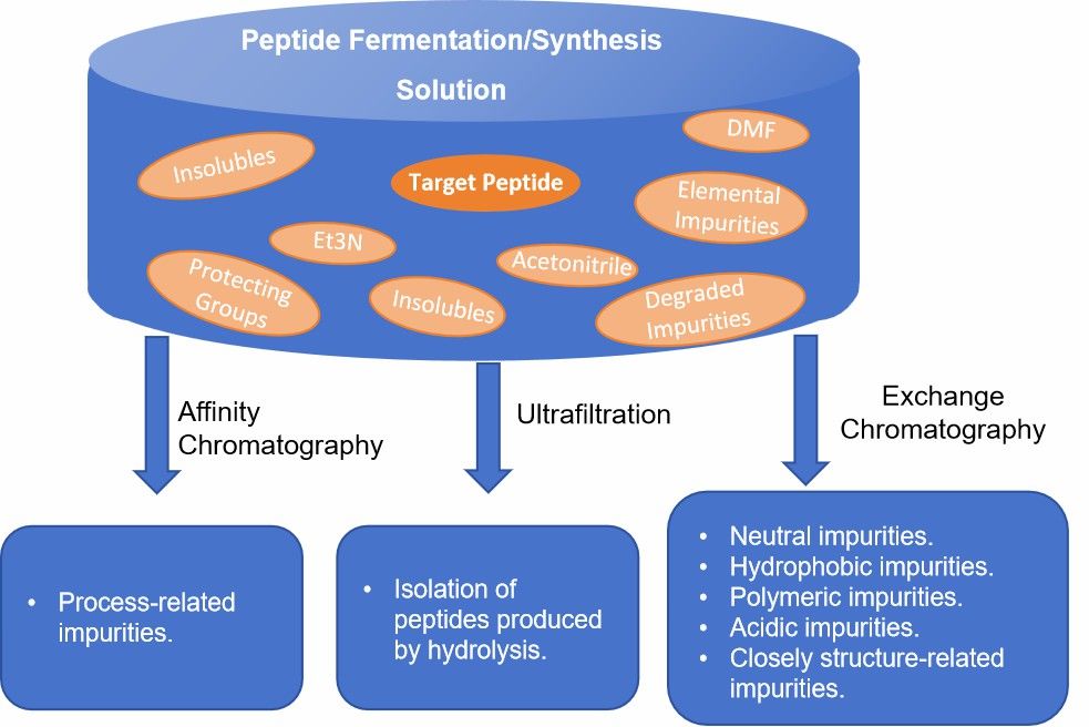 Fig. 2 Flow of a peptide purification and separation process.
