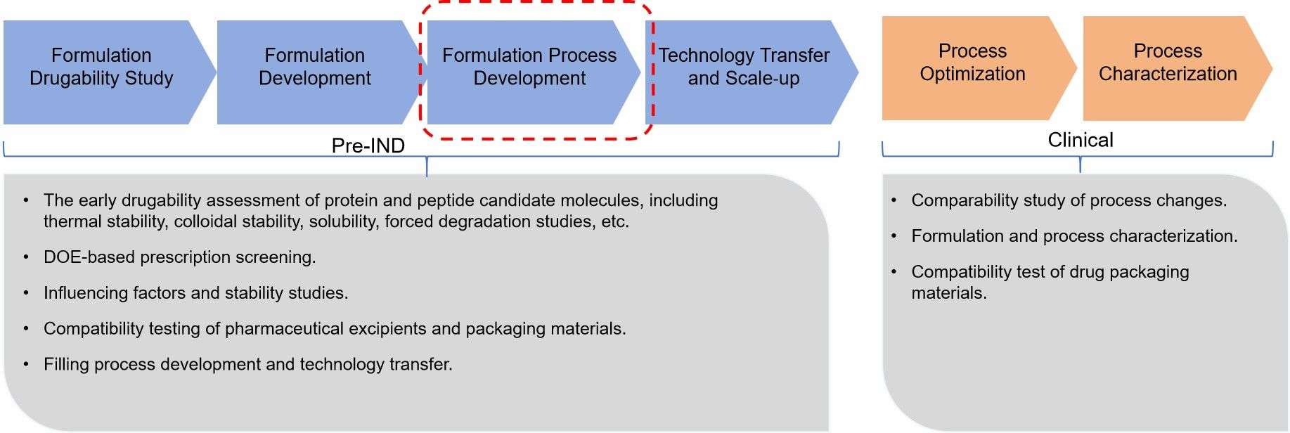 Fig. 2 Formulation process development for proteins/peptides.