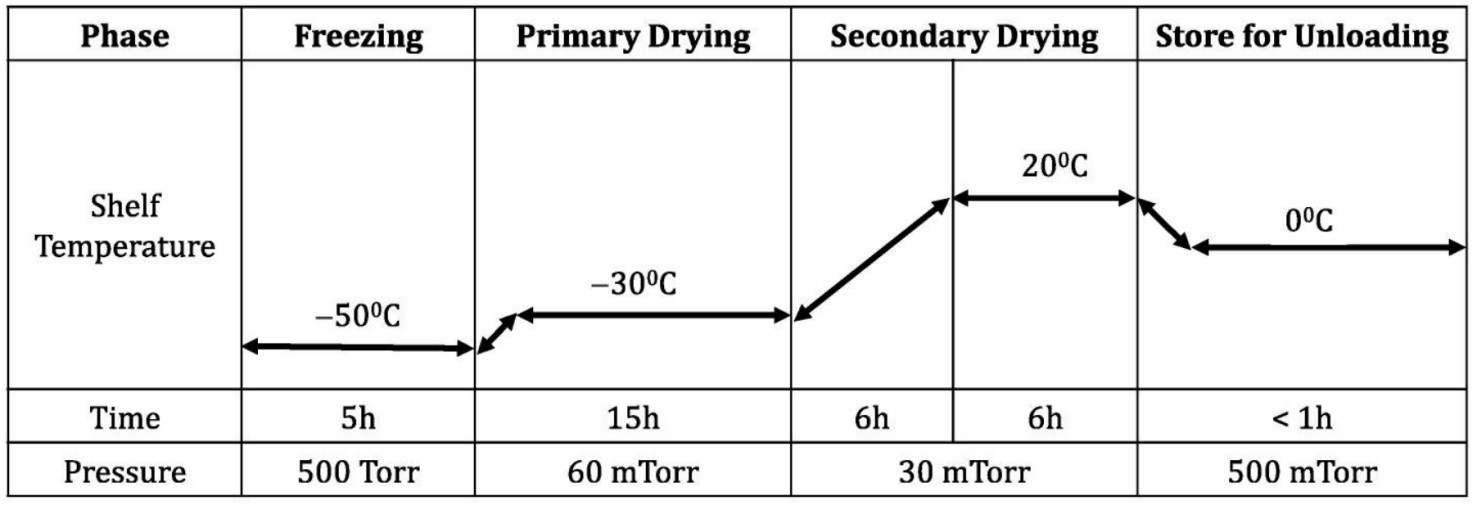 Fig. 3 An optimized freeze-drying cycle process.