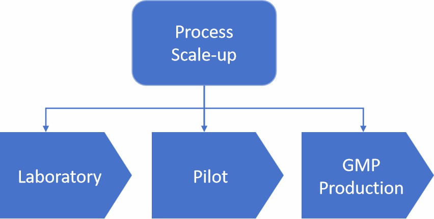 Fig. 1 Process scale-up.