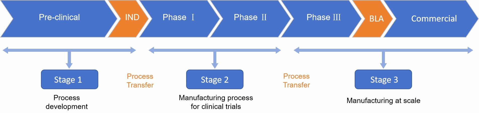 Therapeutic protein/peptide process development.