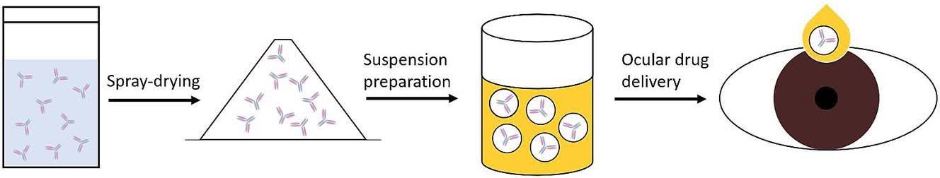 Fig. 2 Sterile suspensions based on the semifluorinated alkane F6H8.