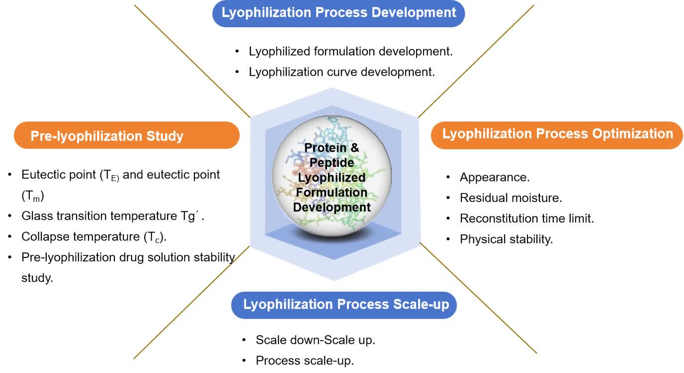 Fig. 2 Protein/peptide lyophilized formulation development.