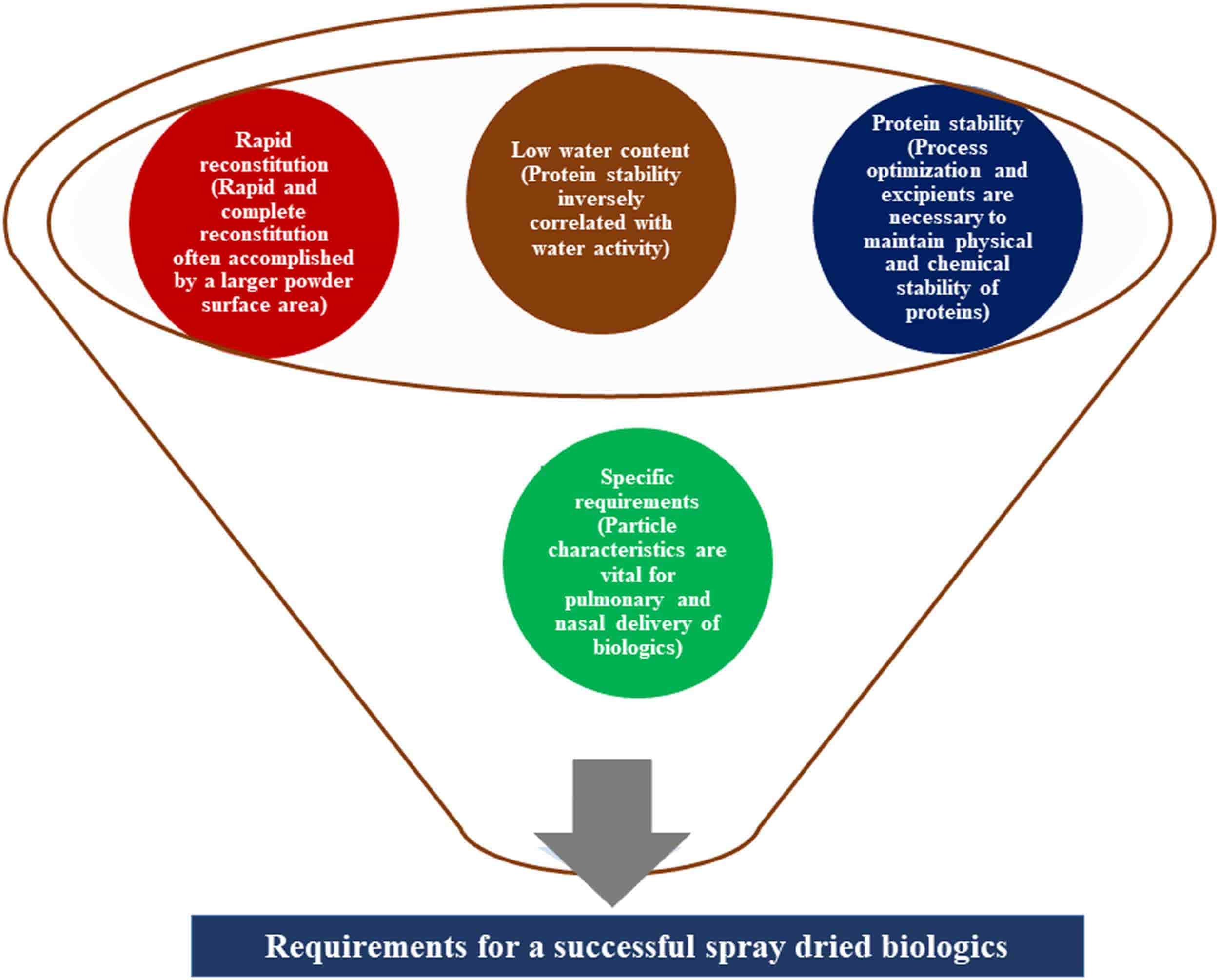 Fig. 1 Requirements for spray dried biologic formulations.