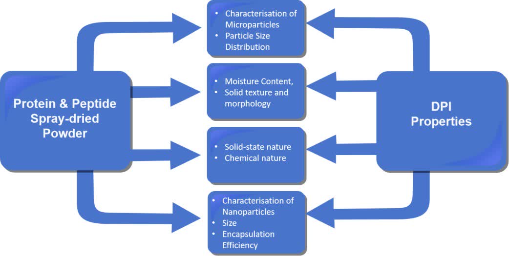 Fig. 3 Characterization of protein/peptide spray drying powder.
