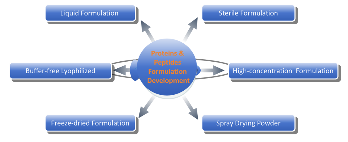 Fig. 1 Proteins/peptides formulation development.
