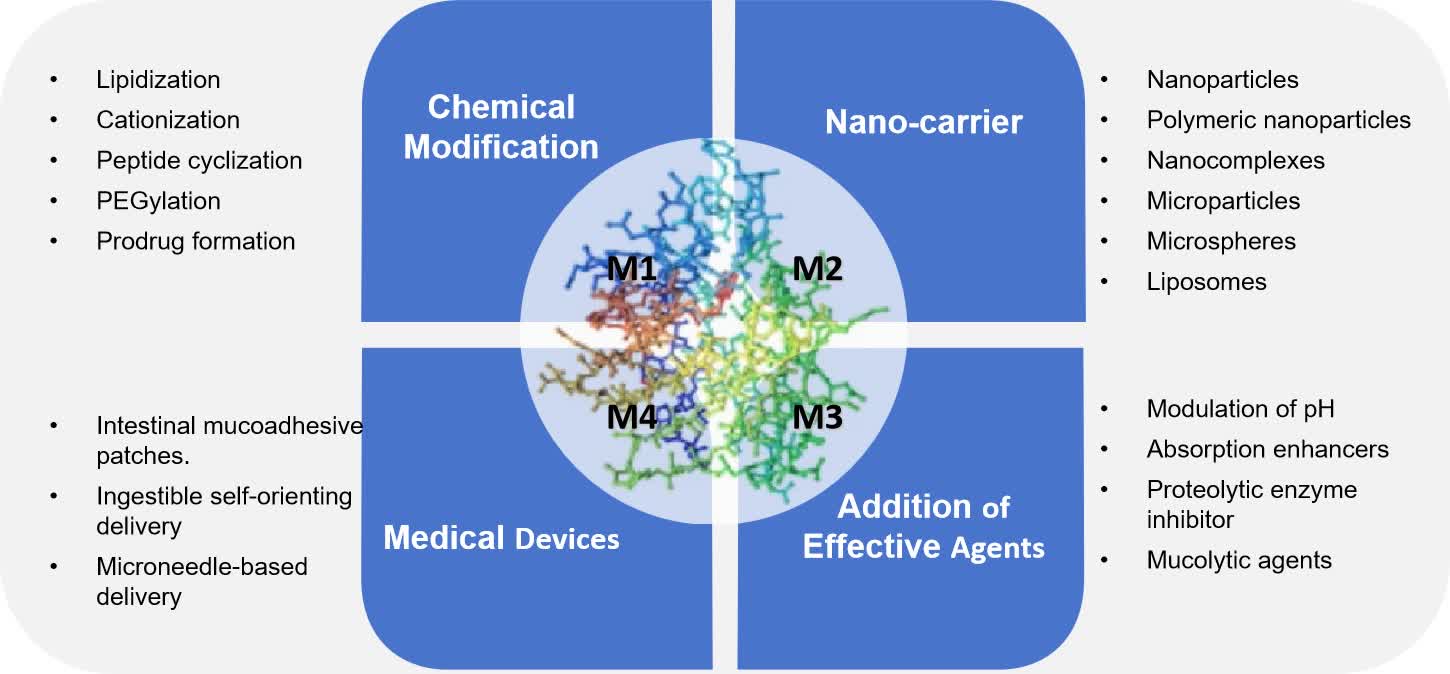 Fig. 2 Formulation strategies for oral delivery of protein/peptide.