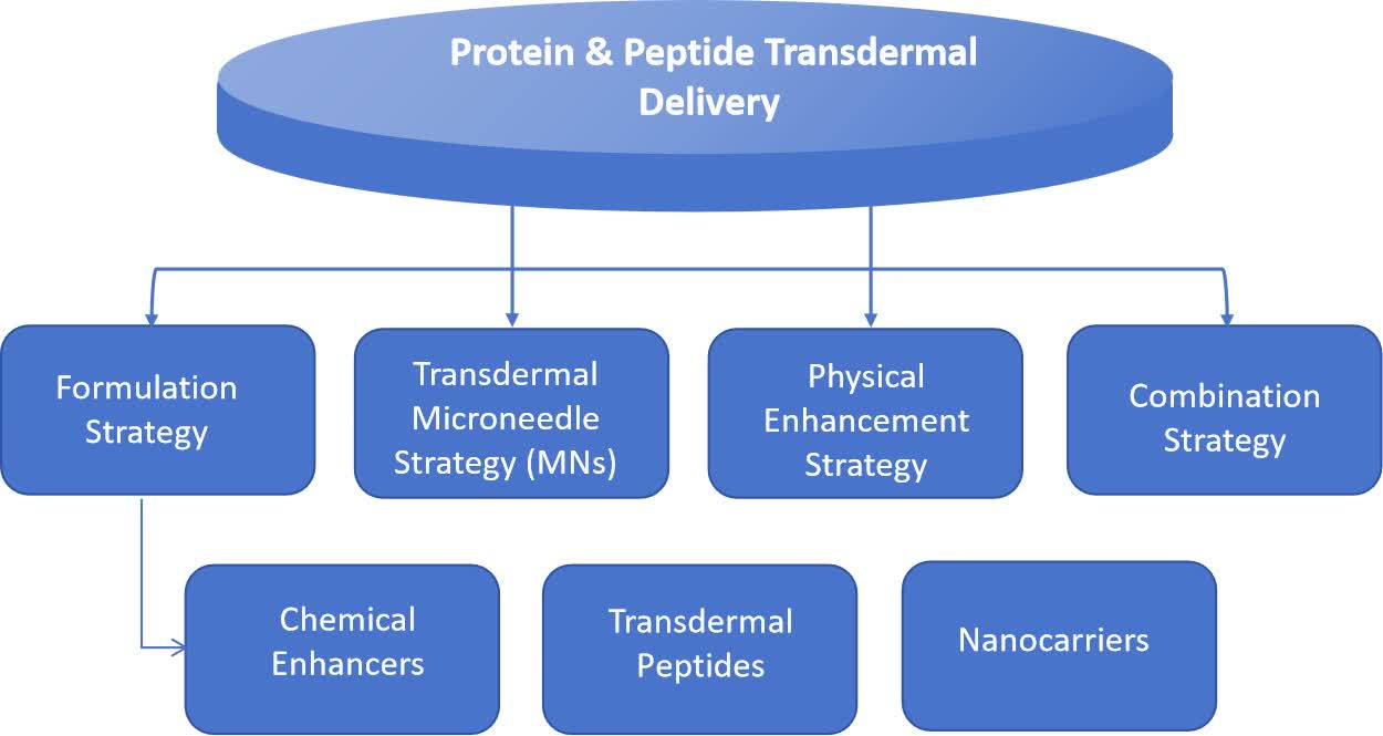 Fig. 1 Strategies for enhancing proteins/peptide transdermal delivery.