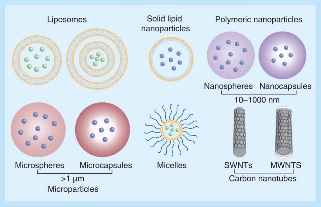 Fig. 1 Colloidal carriers for protein and peptide parenteral deliver.