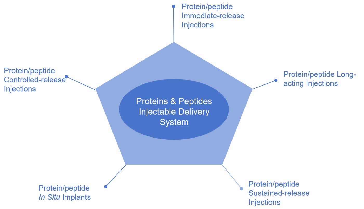 Fig. 2 Proteins/peptides injectable delivery system.