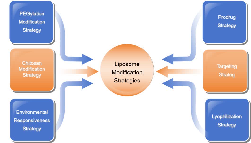 Fig. 2 Strategies for liposome modification.
