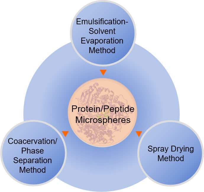 Fig. 2 Methods for preparing protein/peptide microsphere.