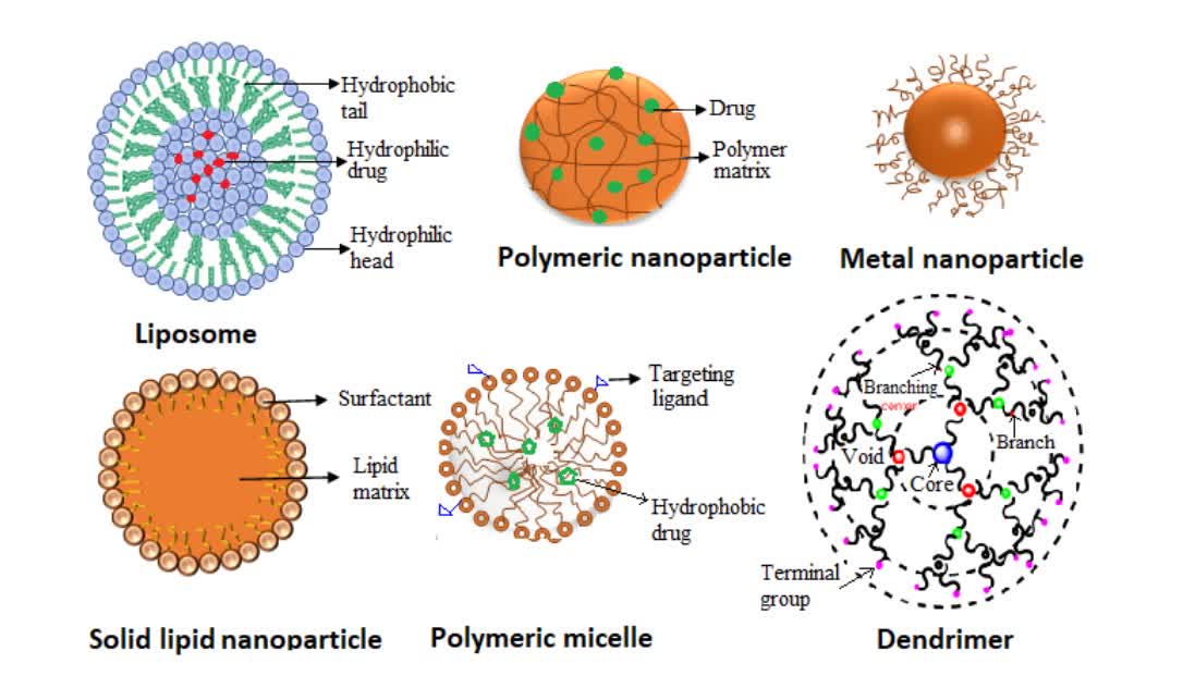 Fig. 1 Different types of nanocarrier systems.