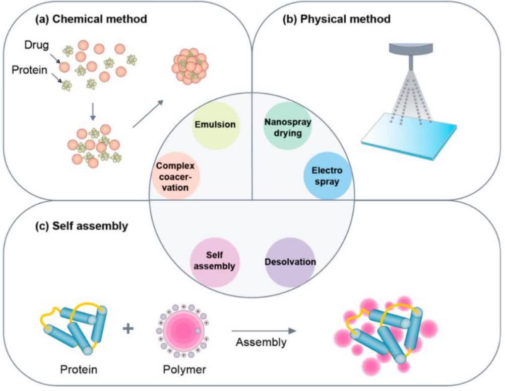 Fig. 2 Methods for preparing protein nanoparticles.