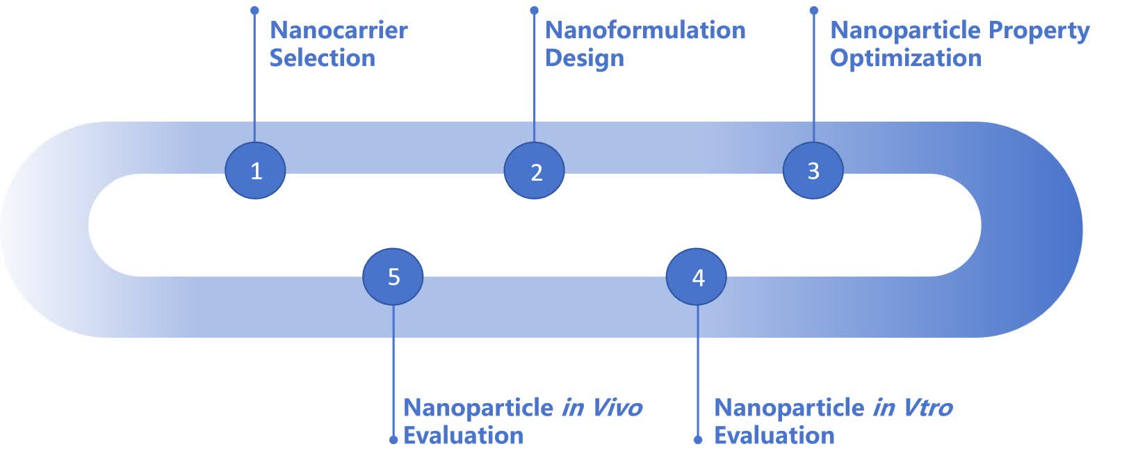 Fig. 3 Protein/peptide nanoparticle delivery system development.