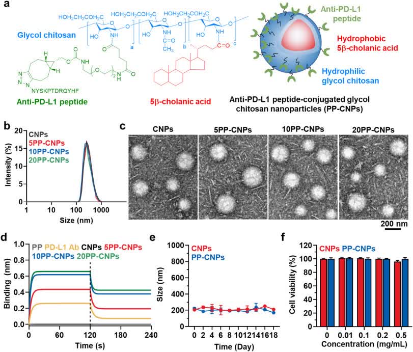 Fig. 4 Preparation of PP-CNP.