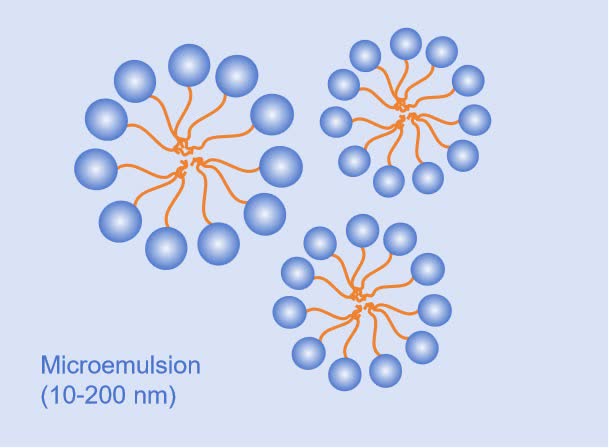 Fig. 1 Structure of microemulsion.