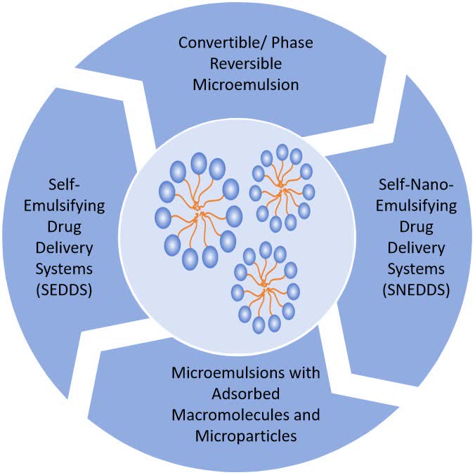 Fig. 2 Strategy for proteins/peptides microemulsion delivery.