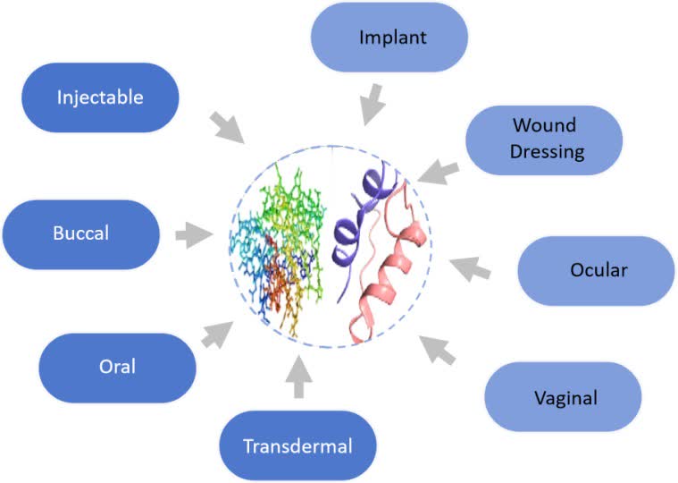 Fig. 2 Administration routes of hydrogel delivery systems.