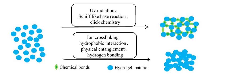 Fig. 3 Crosslinking of hydrogels.